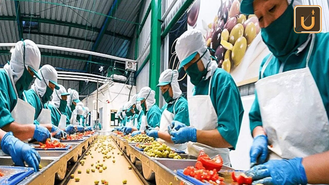 Usthadian Academy / Food Processing Industry Thrives With ₹7,000 Crore Investment Under PLI Scheme | 15 dec 2023 Usthadian Academy / Food Processing Industry Thrives With ₹7,000 Crore Investment Under PLI Scheme